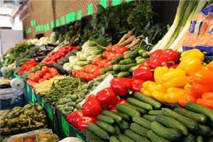 تعرف على أسعار الخضروات في سوق العبور السبت 3 أغسطس